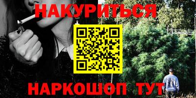 гидропоника Камышлов