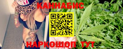 шишки Канаш