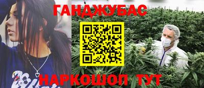 гидропоника Камышлов