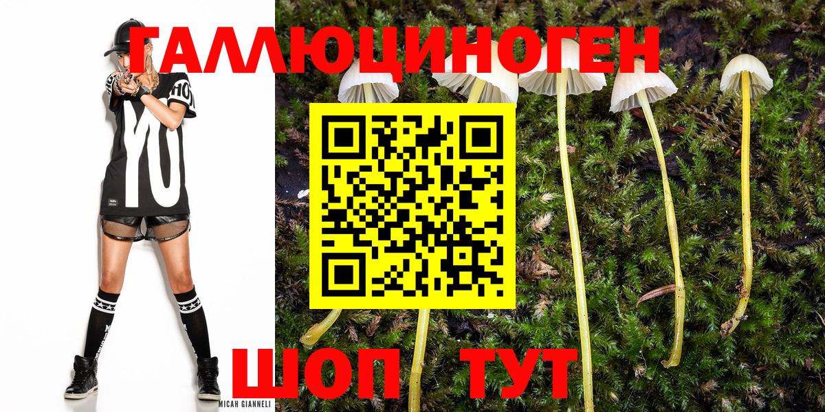 Кузнецк  Галлюциногенные грибы мицелий  Вход с VPN  Галлюциногенные грибы MAGIC MUSHROOMS 